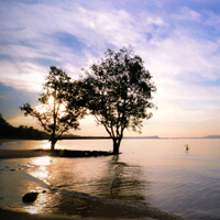 轰炸电话在线下单