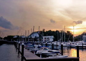 网络手机号呼叫软件免费版