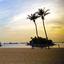 永久有效的短信轰炸网页版