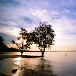 在线呼死你轰炸